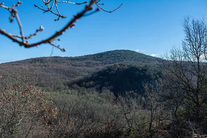 Parc de chasse Saint-Jean-de-Maruéjols-et-Avéjan