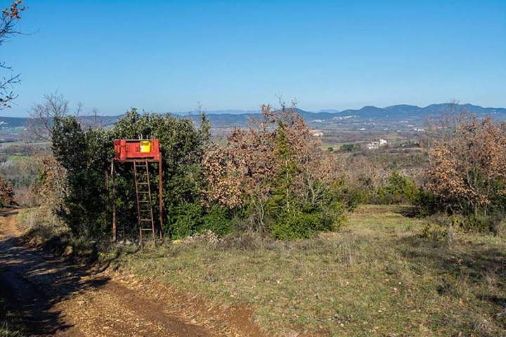 Journée de chasse gros gibiers Saint-Jean-de-Maruéjols-et-Avéjan