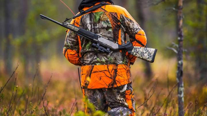 Journée de chasse gros gibiers Saint-Jean-de-Maruéjols-et-Avéjan