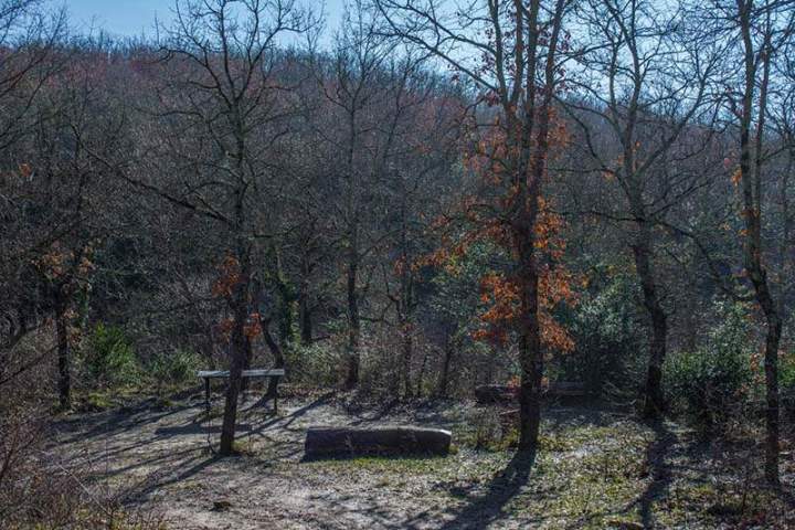 Parc de chasse Saint-Jean-de-Maruéjols-et-Avéjan