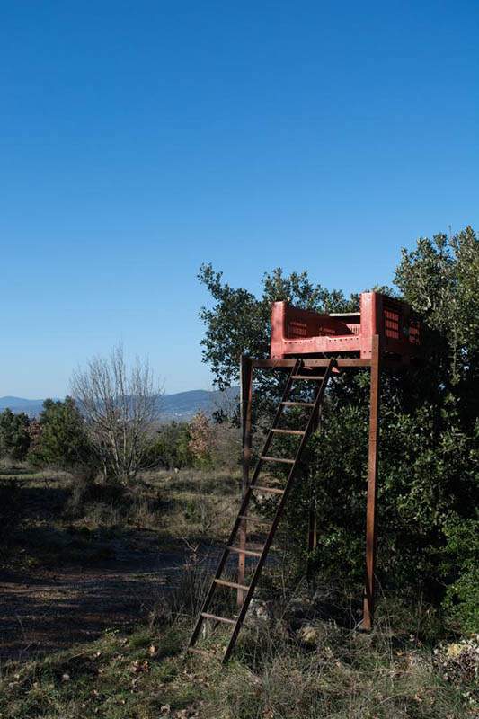 Journée de chasse gros gibiers Saint-Jean-de-Maruéjols-et-Avéjan