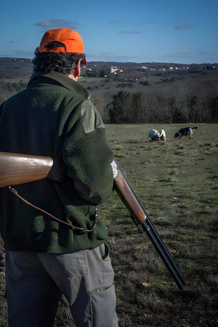 Journée de chasse petits gibiers Saint-Jean-de-Maruéjols-et-Avéjan