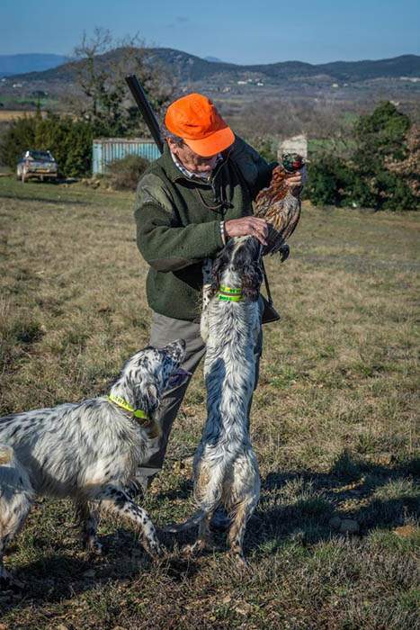 Dressage chien Saint-Jean-de-Maruéjols-et-Avéjan