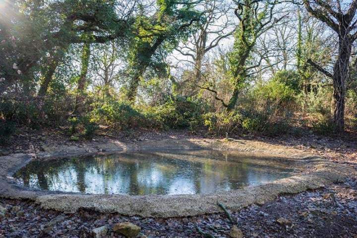 Visite du parc Saint-Jean-de-Maruéjols-et-Avéjan