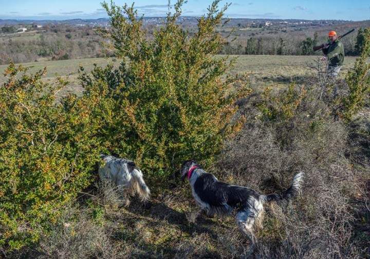 Journée de chasse gros gibiers Saint-Jean-de-Maruéjols-et-Avéjan