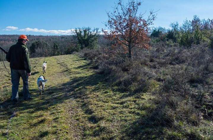 Journée de chasse gros gibiers Saint-Jean-de-Maruéjols-et-Avéjan