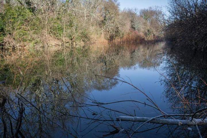 Journée de chasse gros gibiers Saint-Jean-de-Maruéjols-et-Avéjan