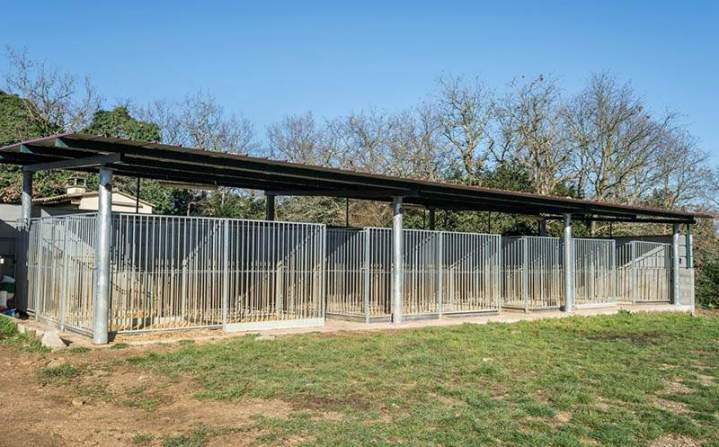 Journée de chasse gros gibiers Saint-Jean-de-Maruéjols-et-Avéjan