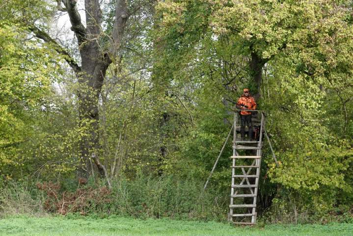 Journée de chasse gros gibiers Saint-Jean-de-Maruéjols-et-Avéjan